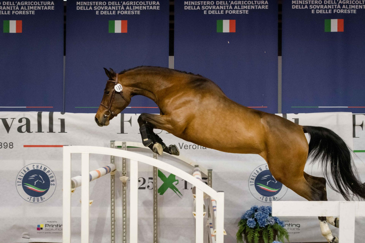 Cresce il turismo equestre con 21mila equituristi e 7mila km di ippovie